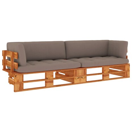 Tweezitsbank pallet met kussens honingbruin geïmpregneerd hout 1
