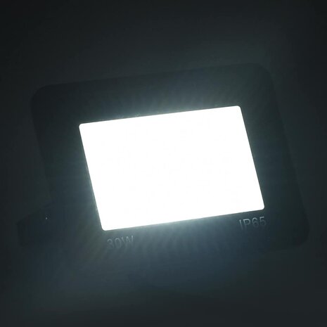 Spotlight LED 30 W koudwit 2