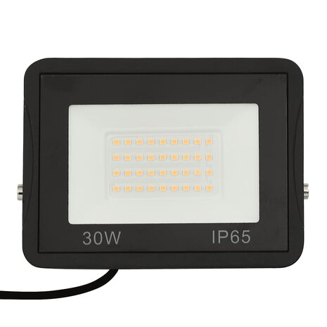 Spotlight LED 30 W koudwit 5