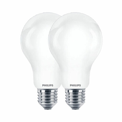Ledlamp Philips Wit E27 2