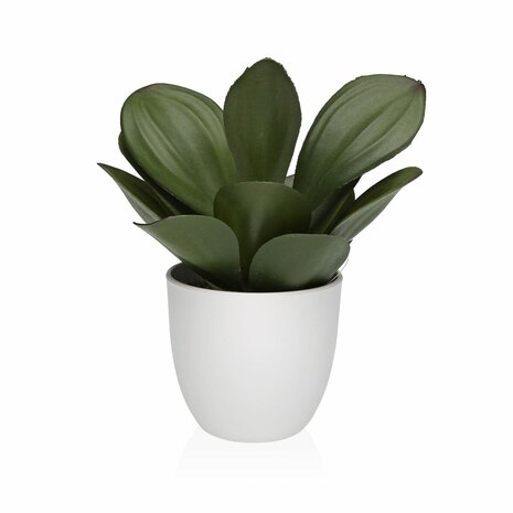 Decoratieve plant Versa Ijzer Textiel Plastic 25 x 23 cm 1