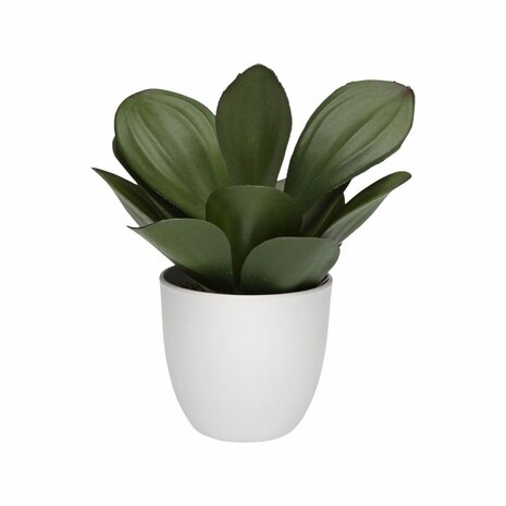 Decoratieve plant Versa Ijzer Textiel Plastic 25 x 23 cm 2