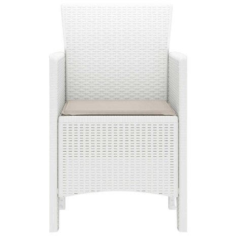 Tuinstoel 2 pcs Wit 53 x 49 x 85 cm PP 6