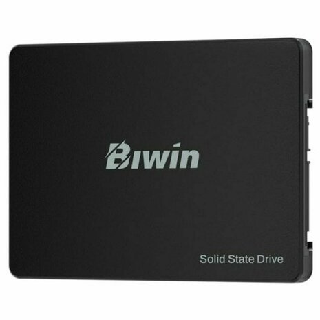 Hard Drive Biwin M100 1 TB SSD 2