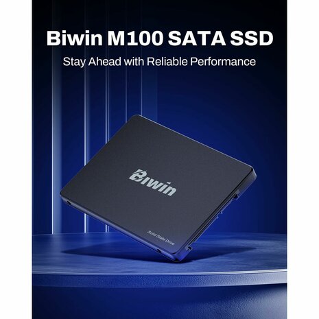 Hard Drive Biwin M100 256 GB SSD 5