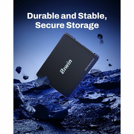 Hard Drive Biwin M100 256 GB SSD 7