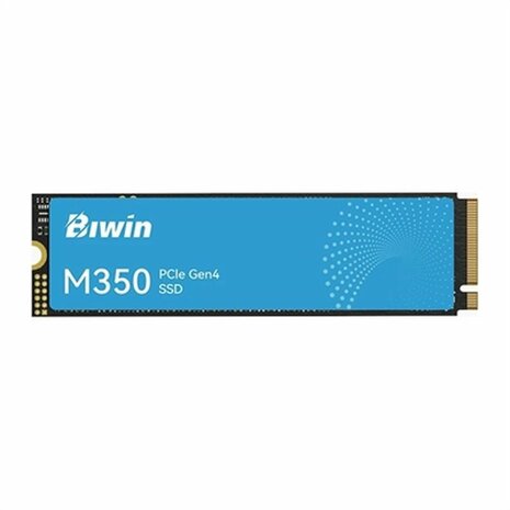 Hard Drive Biwin BM350NN500G-RGX 500 GB SSD 1