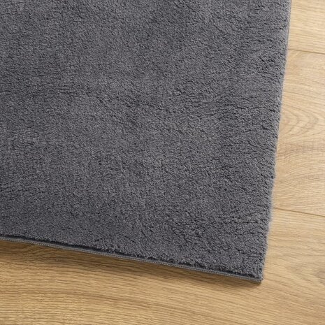 Vloerkleed HUARTE laagpolig zacht wasbaar 120x120 cm antraciet 4