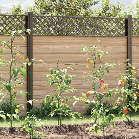 Spiraalvormige plantensteunen 20 pcs Groen 110 cm 1
