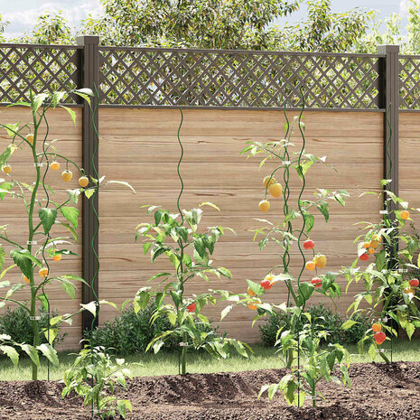 Spiraalvormige plantensteunen 50 pcs Groen 150 cm 1