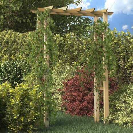 Rozenboog 150x60x204 cm geïmpregneerd hout 1