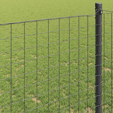 Euro Hek Grijs 0.4 x 10 m PVC-gecoat ijzer 4