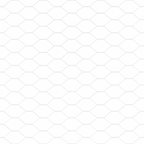 Hexagon Hek Zilver 1.5 x 10 m Gegalvaniseerd staal 7