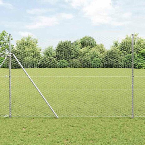Zeskantig hekwerk Zilver 1.6 x 10 m Gegalvaniseerd staal 1