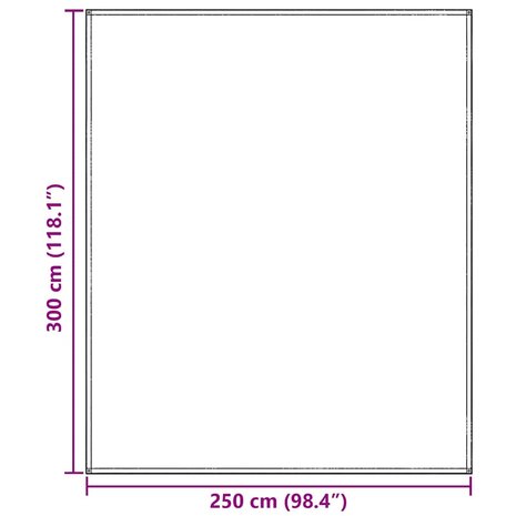 Tenttapijt Lichtgrijs 250 x 300 cm Polyetheen 9