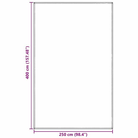 Tenttapijt Lichtgrijs 250 x 400 cm Polyetheen 9