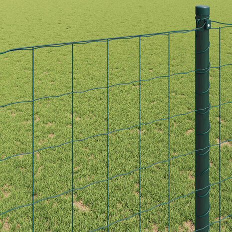 Euro Hek Groen 0.6 x 10 m PVC-gecoat ijzer 4
