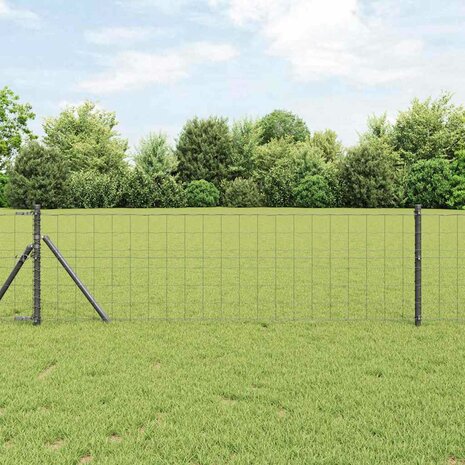Euro Hek Grijs 0.6 x 10 m PVC-gecoat ijzer 1