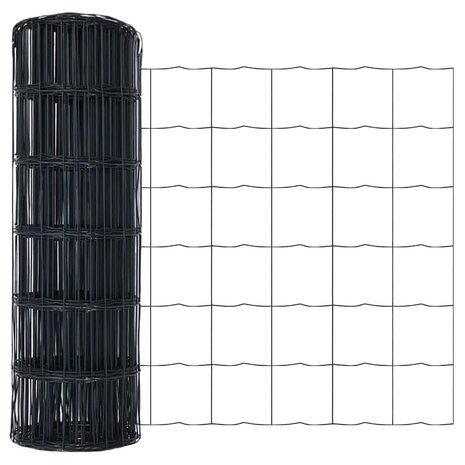 Euro Hek Grijs 0.6 x 10 m PVC-gecoat ijzer 5