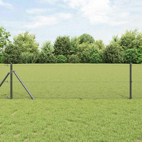 Gelaste draadhek Grijs 0.4 x 25 m Staal 1