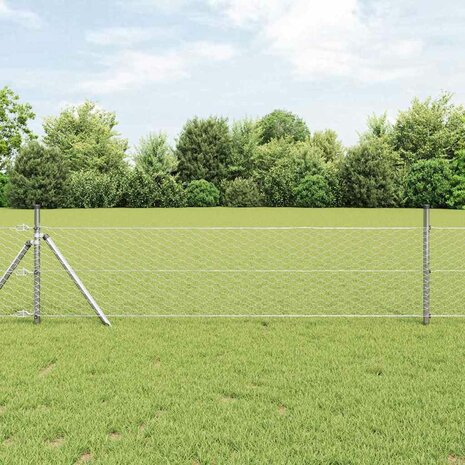 Hexagon Hek Zilver 0.6 x 10 m Gegalvaniseerd staal 1