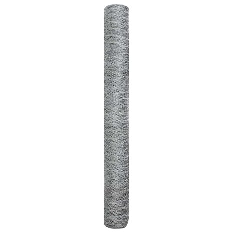 Hexagon Hek Zilver 1 x 10 m Gegalvaniseerd staal 6