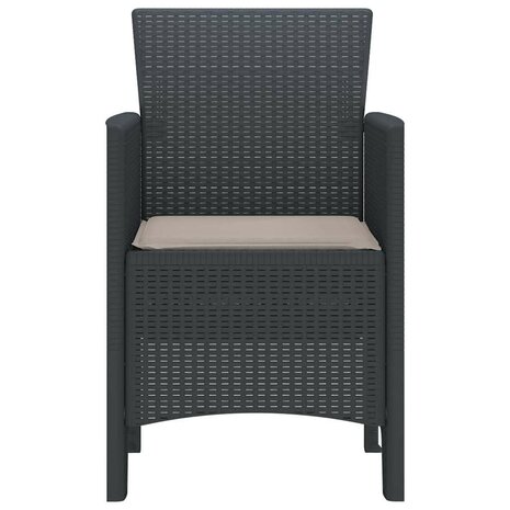 Tuinstoel 2 pcs Antraciet 53 x 49 x 85 cm PP 6