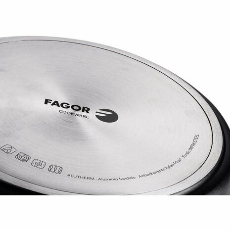 Pan FAGOR 6