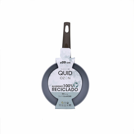 Pan Quid Ozon Groen Metaal Gehard aluminium 20 cm 4