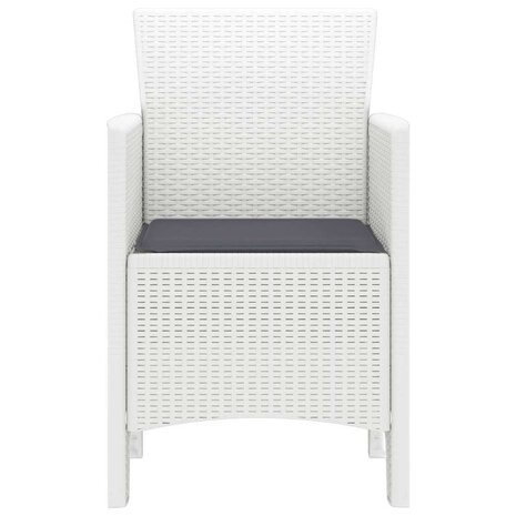 Tuinstoel 2 pcs Wit 53 x 49 x 85 cm PP 6