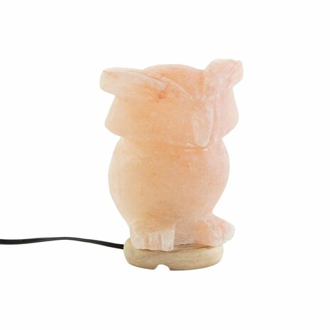 Bureaulamp DKD Home Decor Roze Zout Acacia 15 W 220 V 14 x 14 x 18 cm 1