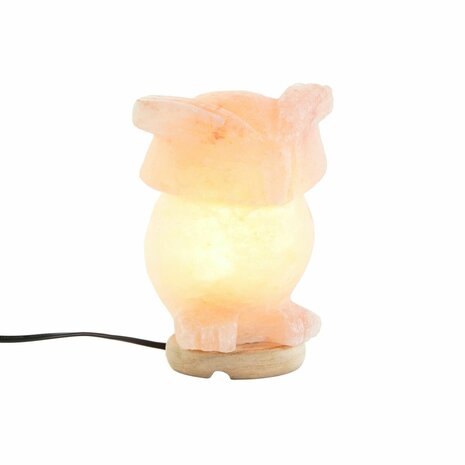 Bureaulamp DKD Home Decor Roze Zout Acacia 15 W 220 V 14 x 14 x 18 cm 5
