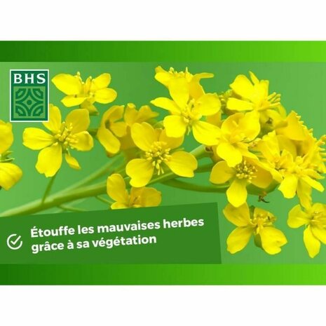 Kunstmest voor planten BHS 500 g 4