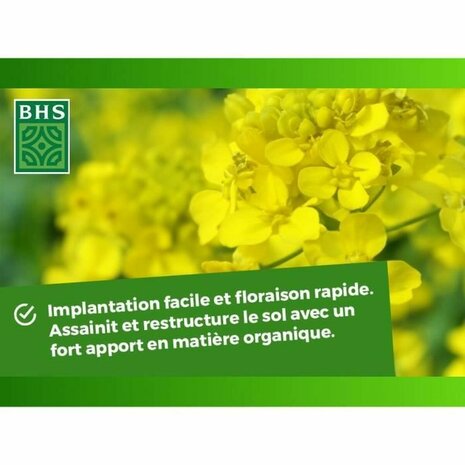 Kunstmest voor planten BHS 500 g 6