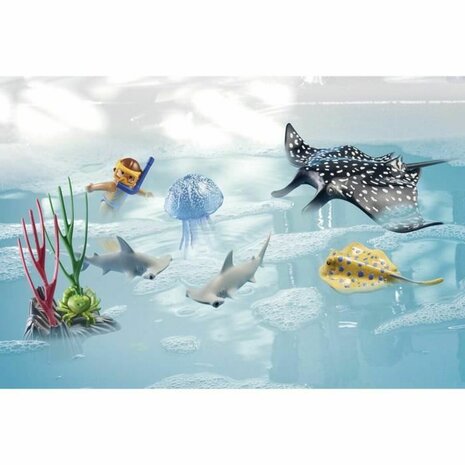 Playset Playmobil 3