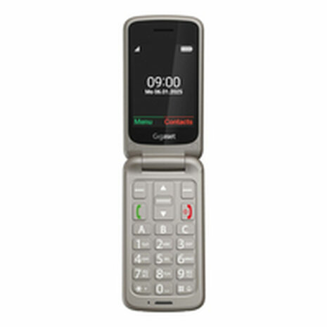 Smartphone Gigaset S30853-H1231-R102 2,8" Grijs 2