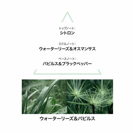 Damesparfum Le Couvent des Minimes 3