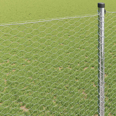 Zeskantig hekwerk Zilver 1 x 10 m Gegalvaniseerd staal 4