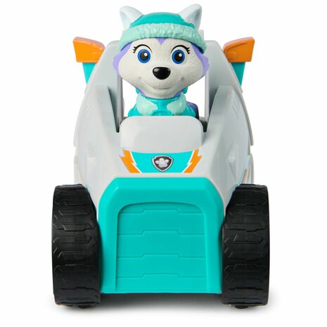 Actiefiguur The Paw Patrol 2 Onderdelen 8