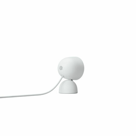 Beveiligingscamera Google Nest Cam 5