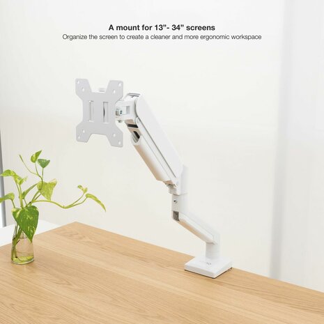 Monitor TooQ DB1334TNR-W 2