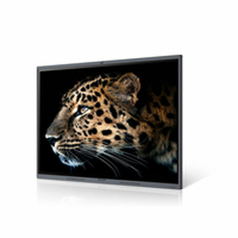 Videowall Monitor Maxhub C7530 4K Ultra HD 75" 1