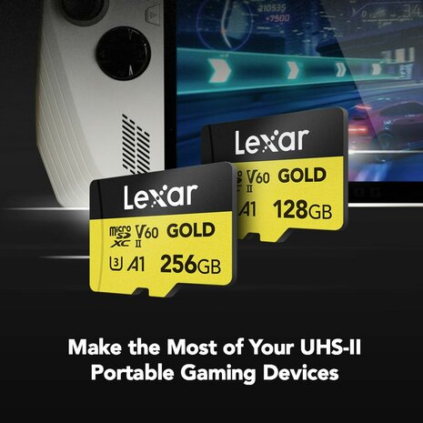 SD Geheugenkaart Lexar LMSGOLD256G-BNNNG 256 GB 8