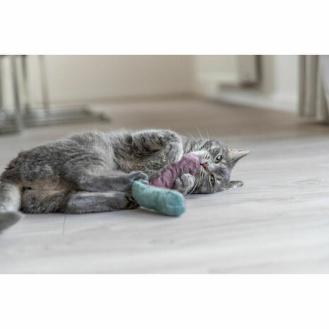 Kattenspeeltje Trixie 5