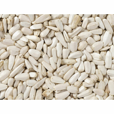 Vogelvoer Deli Nature 2 Kg Zonnebloempitten 3