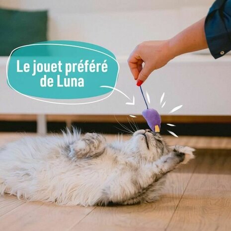 Kattenspeeltje Aimé Multicolour 7 Onderdelen 4