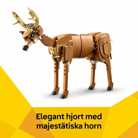Bouwspel Lego CREATOR 31166 Beautiful Horse 7