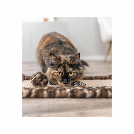 Krabpaal voor Katten Trixie Leo Bruin Polyester Sisal EVA 55 x 35 cm Tapijt 7
