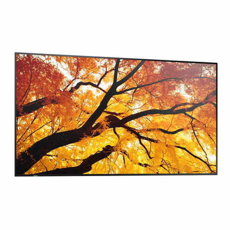 Videowall Monitor Sharp 60006053 4K Ultra HD 42,5" 4