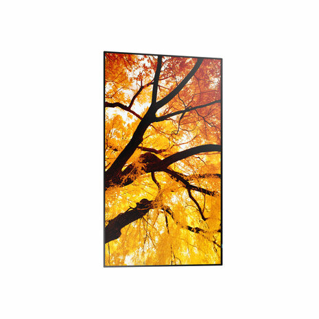 Videowall Monitor Sharp 60006053 4K Ultra HD 42,5" 5